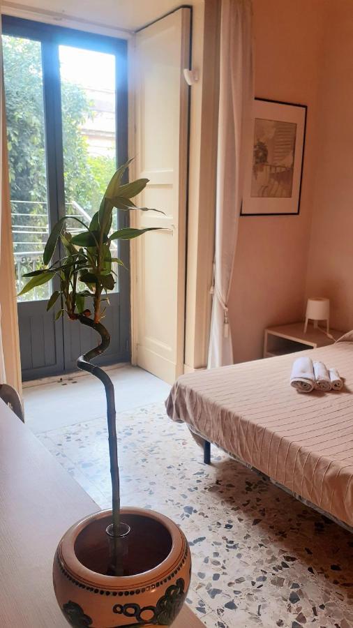 Bed And Books Isabella Bed and Breakfast Κατάνια Εξωτερικό φωτογραφία